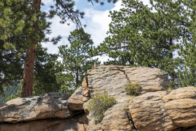 Rocky Mt National Park Aug 2022